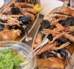 Croatian-Cuisine-seafood-gastronomy sailing
